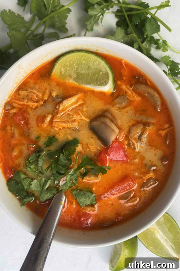 30 Comforting Keto Soup Recipes for Low-Carb Meals 28 Roundup Image for Keto Soup Recipes