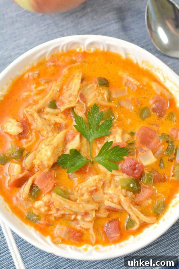 30 Comforting Keto Soup Recipes for Low-Carb Meals 5 Roundup Image for Keto Soup Recipes