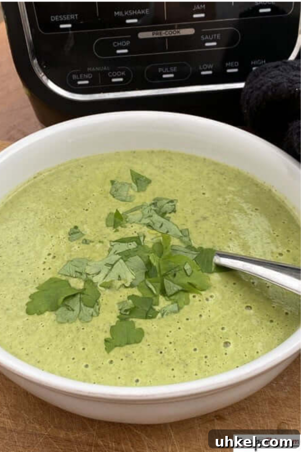30 Comforting Keto Soup Recipes for Low-Carb Meals 10 Roundup Image for Keto Soup Recipes