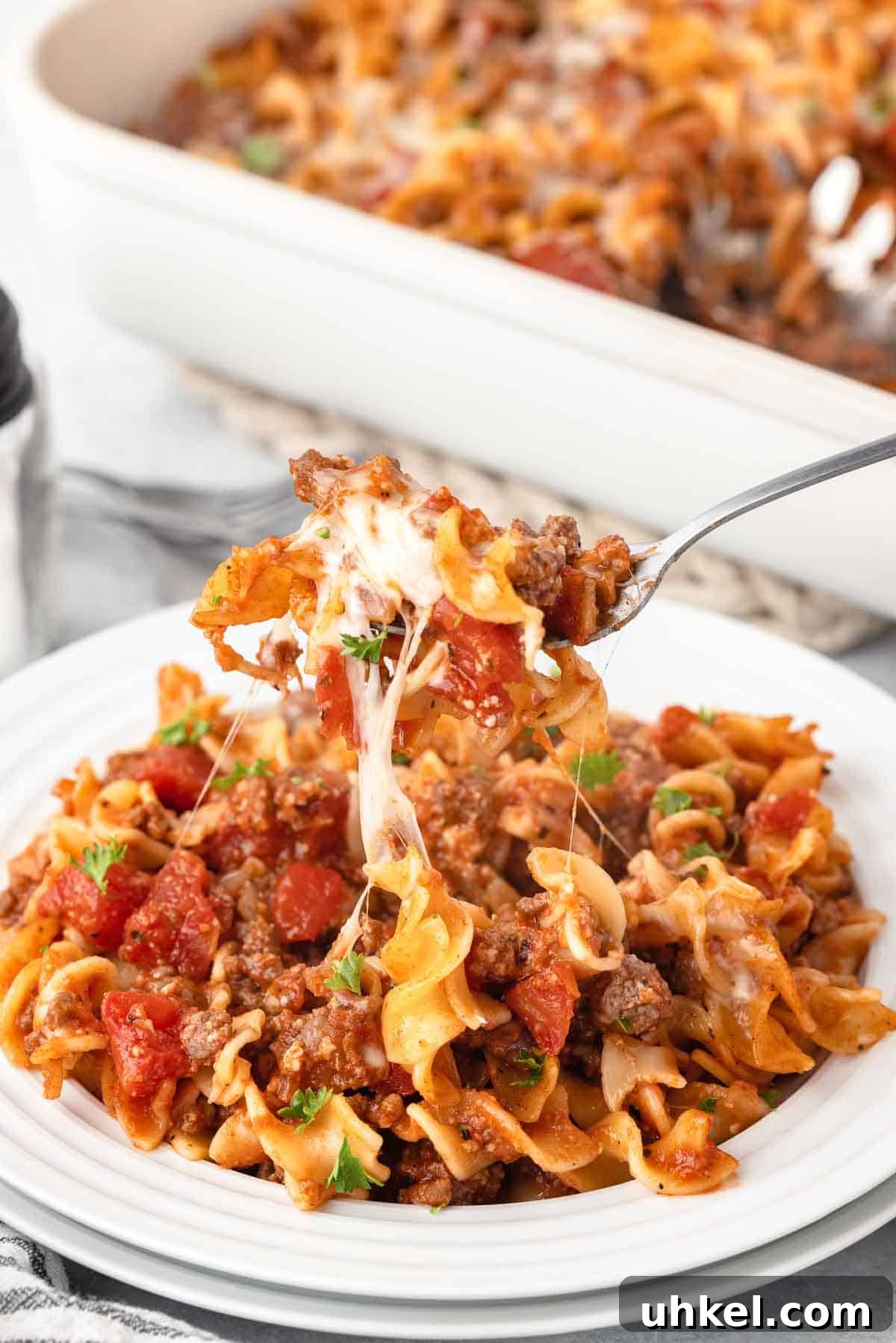 Italian Beef and Egg Noodle Casserole with Tomatoes and Cheese 2 Ground beef noodle casserole.