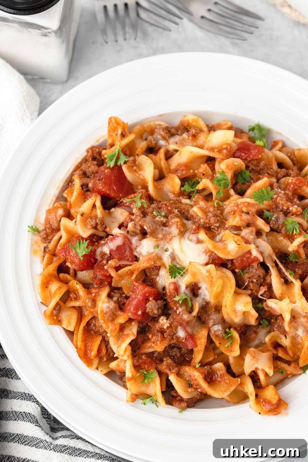 Italian Beef and Egg Noodle Casserole with Tomatoes and Cheese 10 Ground beef noodle casserole.