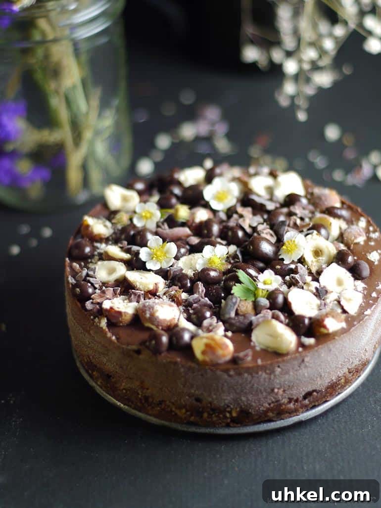 dairy-free chocolate hazelnut cheesecake, vegan, gluten-free, refined sugar-free