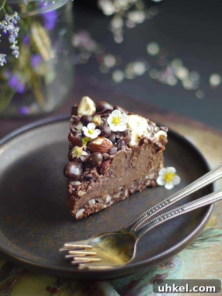 chocolate hazelnut cheesecake slice, raw vegan recipe, grain-free and gluten-free, refined sugar-free