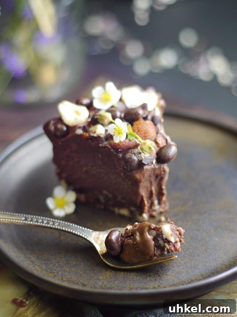 raw vegan hazelnut cheesecake