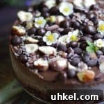 raw vegan chocolate hazelnut cake