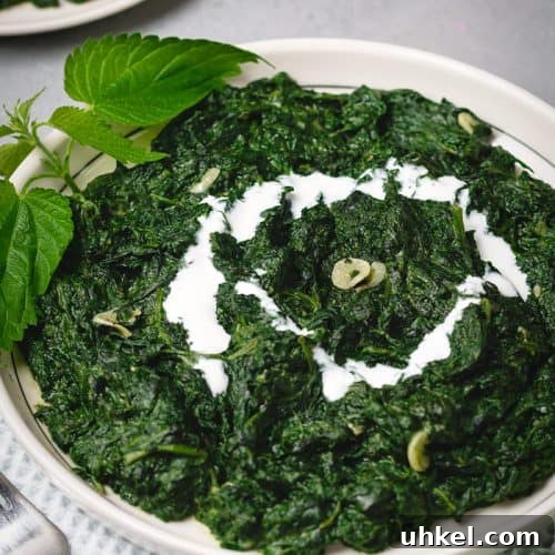 How to Make Creamy Stinging Nettle Soup 3 A plate of creamy nettle with a cream swirl.