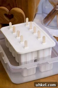 Coffee Paletas: Mexican Coffee Popsicles Recipe and Tips 8 img 15328 8