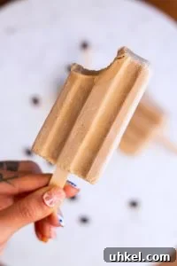 Coffee Paletas: Mexican Coffee Popsicles Recipe and Tips 9 img 15328 9