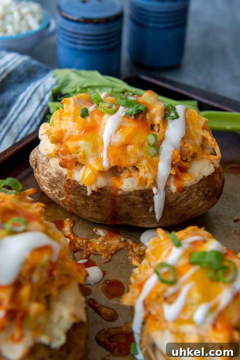 Buffalo Chicken Stuffed Baked Potatoes with Melted Cheese 2 a buffalo chicken baked potato with ranch dressing drizzled over top