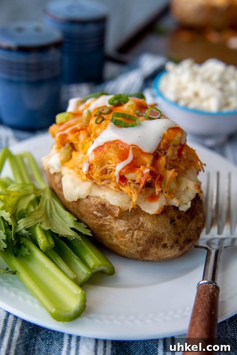 Buffalo Chicken Stuffed Baked Potatoes with Melted Cheese 6 a white plate with celery and a buffalo chicken potato