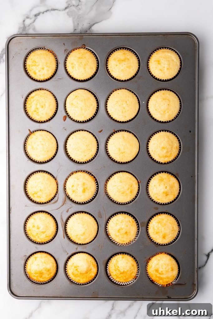 Champagne-Infused Cupcakes: Sparkling Celebration Recipe 6 baked champagne cupcakes in a 24 count metal muffin tin