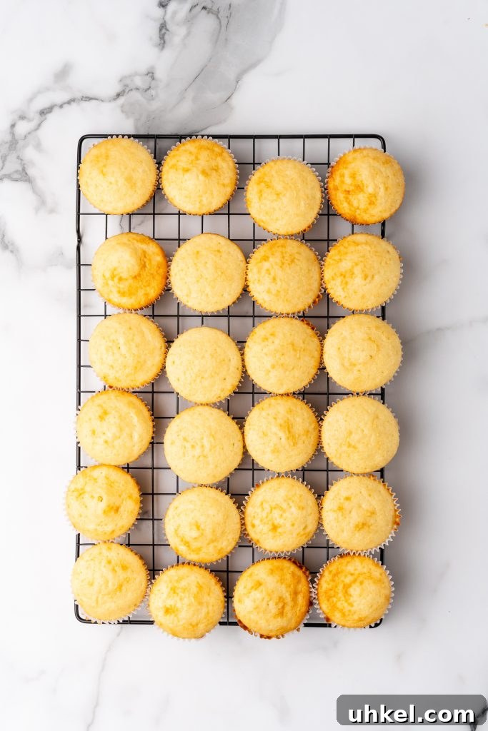 Champagne-Infused Cupcakes: Sparkling Celebration Recipe 7 champagne cupcakes on a metal cooling rack