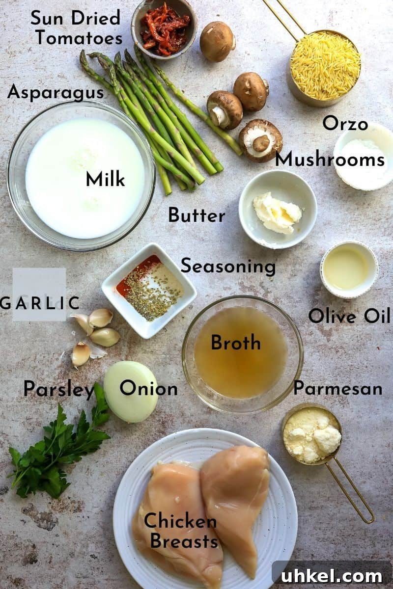 Creamy Garlic Parmesan Chicken Orzo Recipe 3 img 157 2
