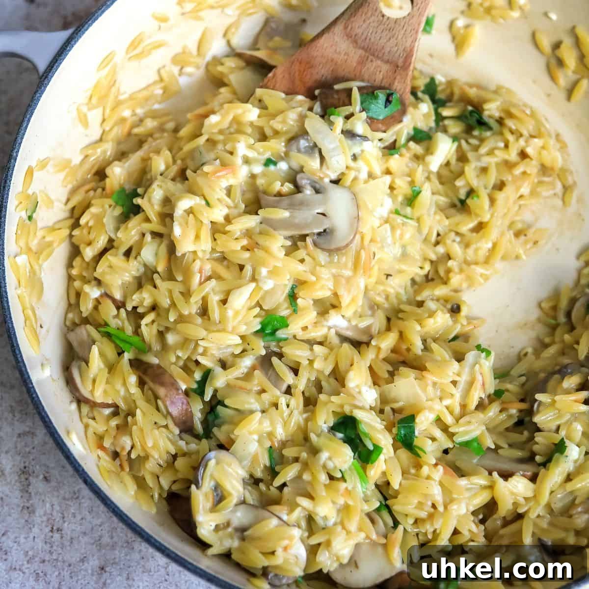 Creamy Garlic Parmesan Chicken Orzo Recipe 6 Creamy orzo up close in a large skillet.