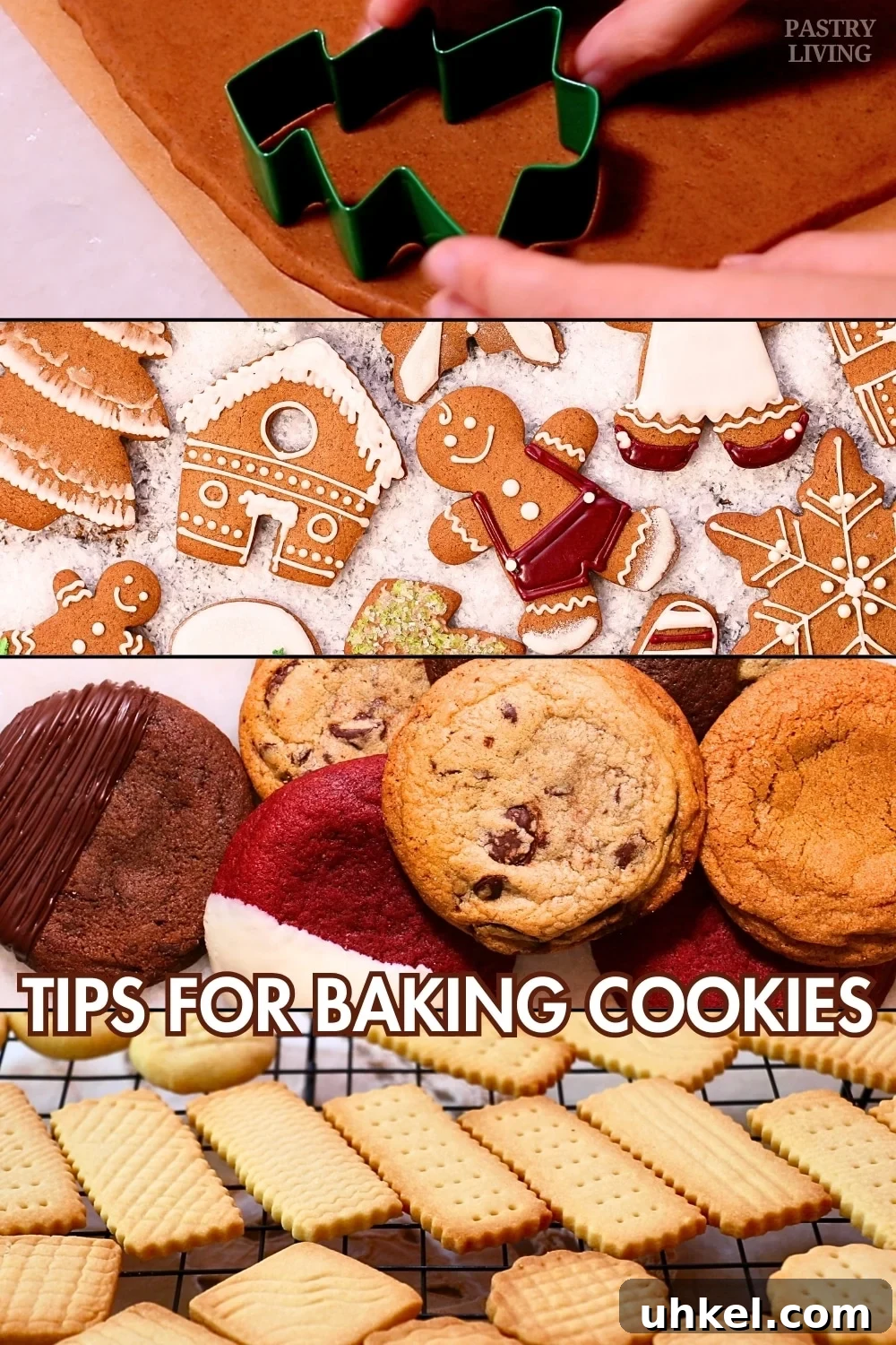 7 Pro Tips for Baking Perfect Cookies Every Time 2 a collection of cookies