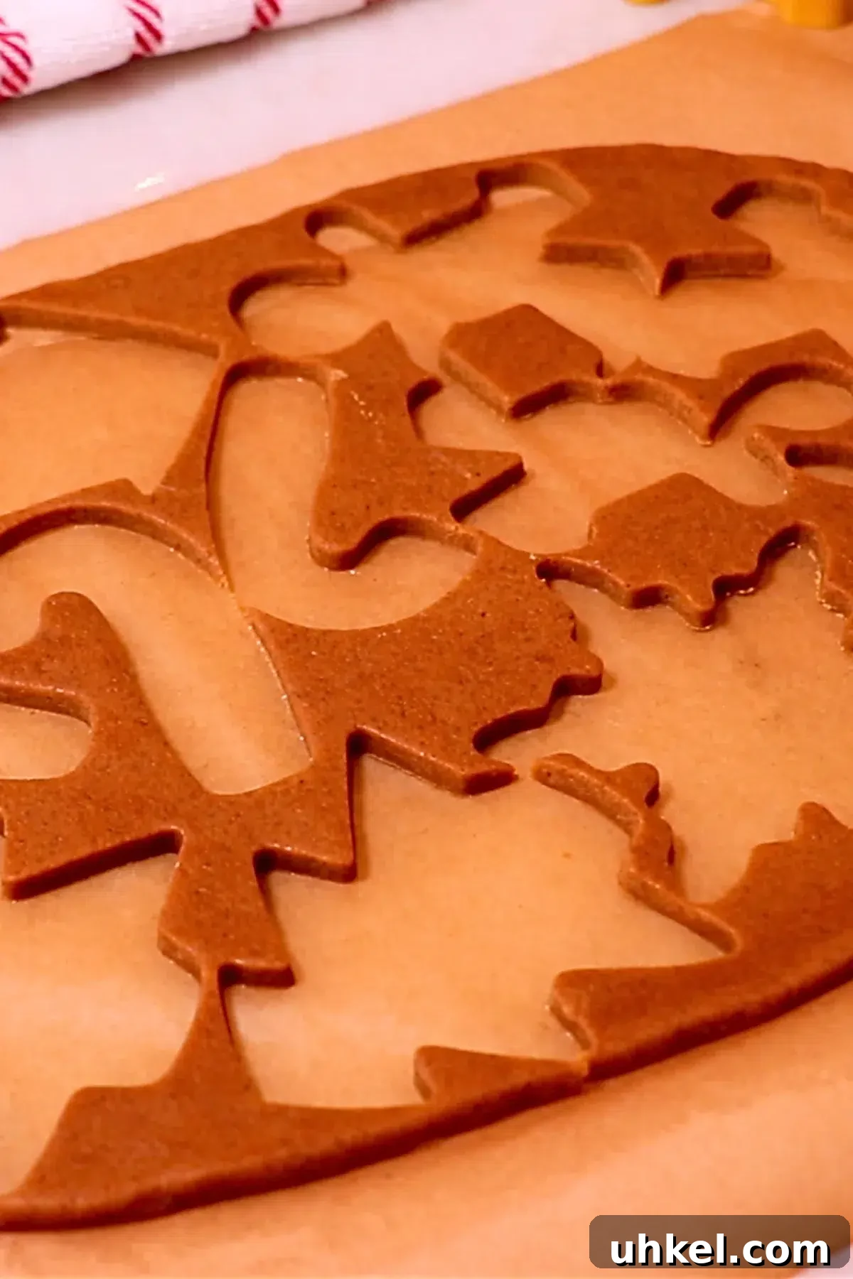 7 Pro Tips for Baking Perfect Cookies Every Time 5 cut-out gingerbread cookie dough