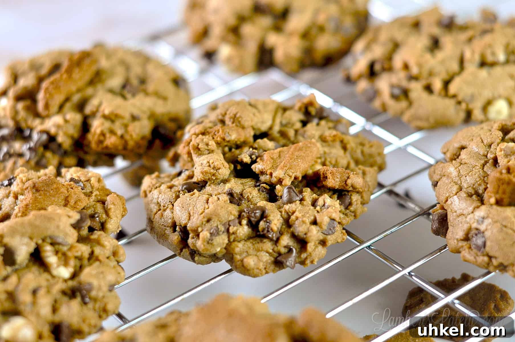 Loaded Cookie Butter Cookies — Gooey Speculoos-Stuffed Treats 2 close up of cookie butter cookie with chocolate chips.