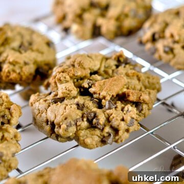 Loaded Cookie Butter Cookies — Gooey Speculoos-Stuffed Treats 9 close up of cookie butter cookie with chocolate chips.