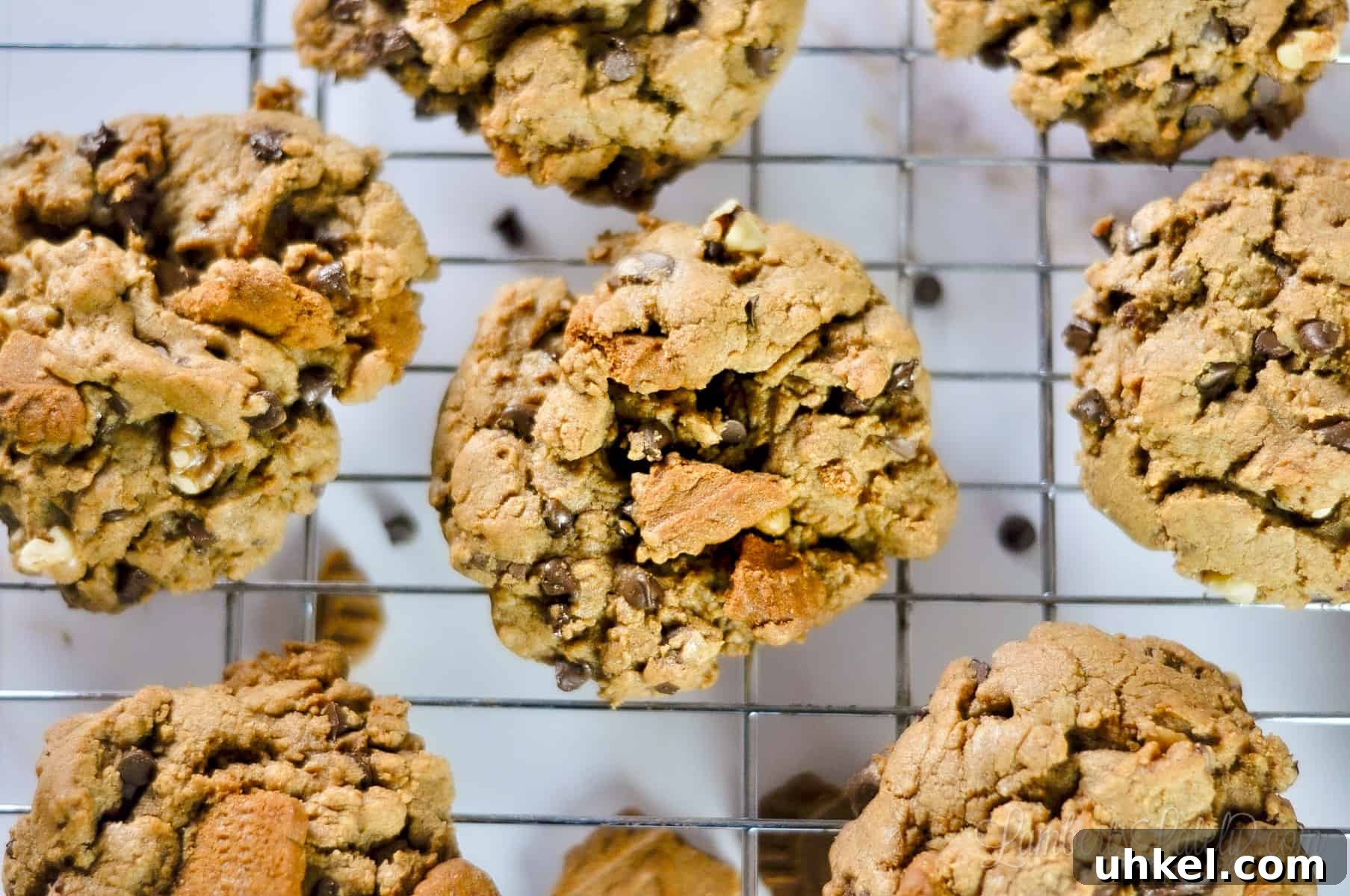 Loaded Cookie Butter Cookies — Gooey Speculoos-Stuffed Treats 7 cookie butter cookie on a wire rack.