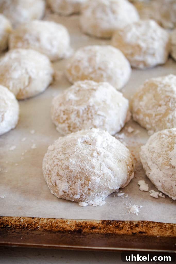 Gluten-Free Mexican Wedding Cookies — Simple, Delicious Recipe 8 Mexican wedding cookies rolled in powdered sugar on a cookie sheet.