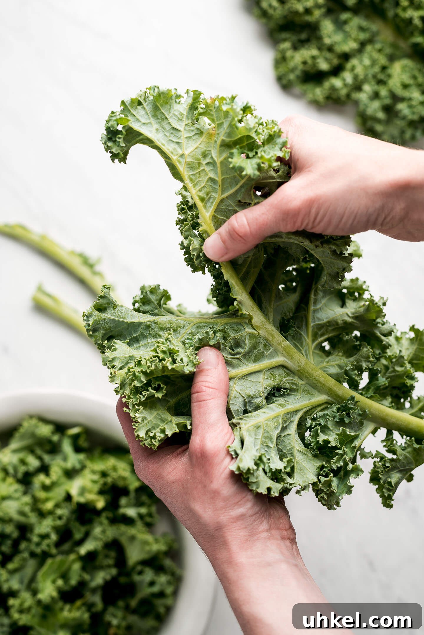 How to Massage Kale for Tender, Flavorful Salads 3 Hands holding a kale leaf and tearing the leafy part off the hard rib.
