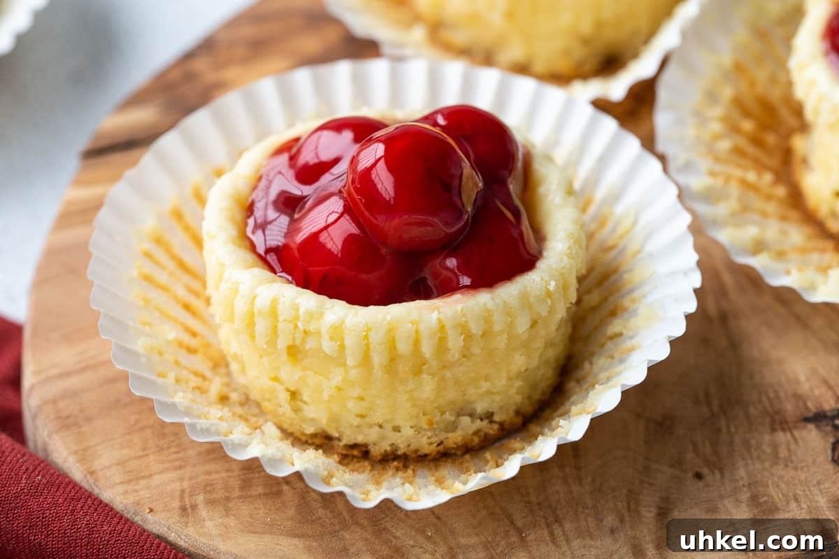Mini Cherry Cheesecake Bites: Perfect Party Dessert Recipe 8 mini cherry cheesecake in a white paper cupcake liner.