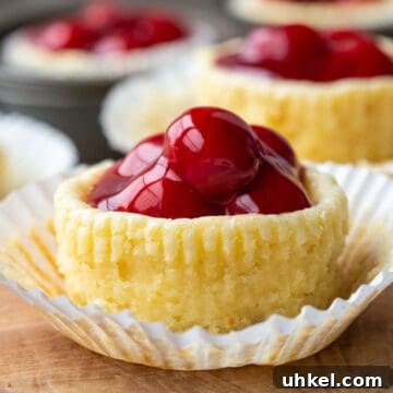 Mini Cherry Cheesecake Bites: Perfect Party Dessert Recipe 9 mini cheesecake topped with cherries in a white muffin cup liner.