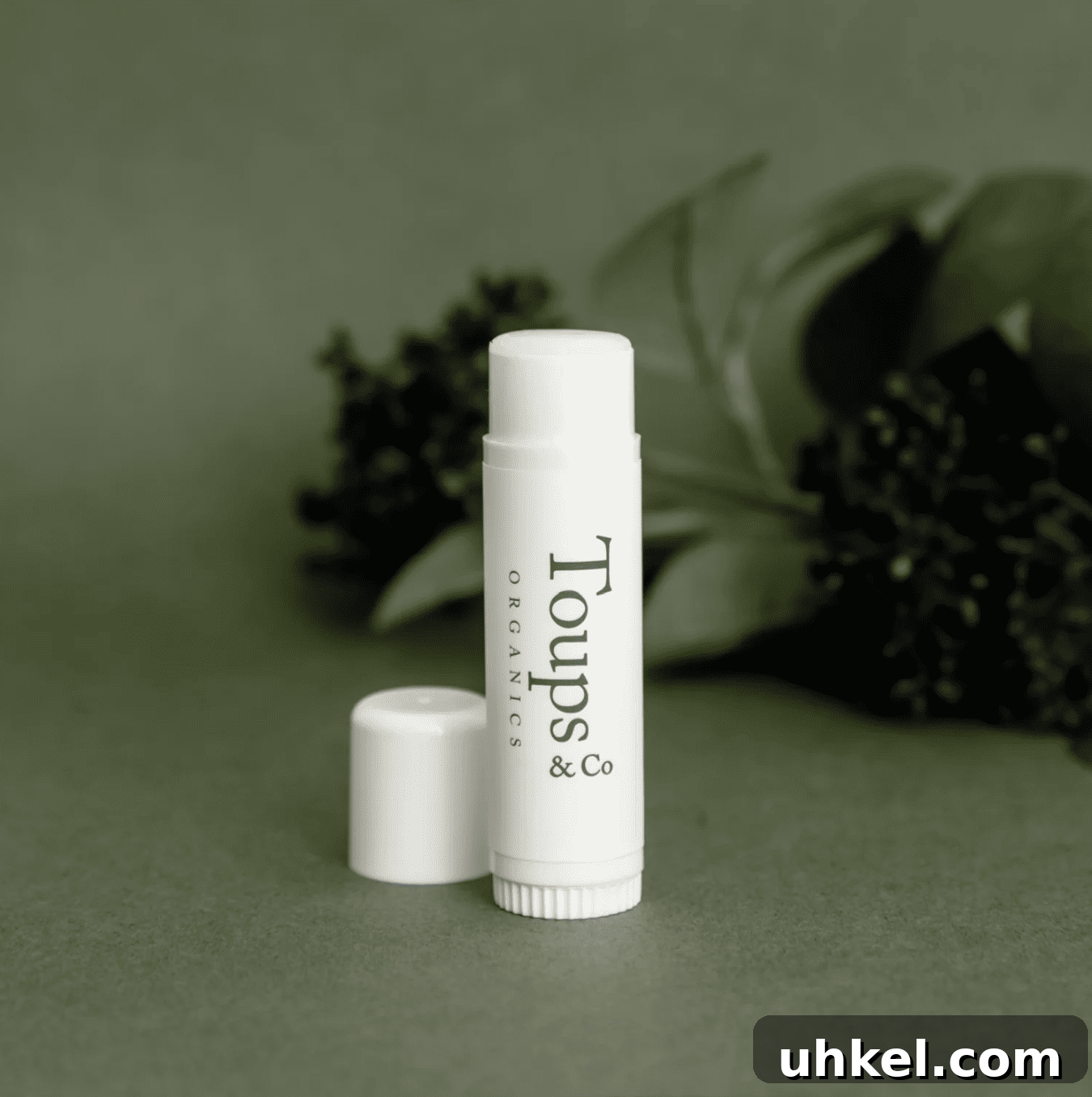 Beef Tallow for Skin: 10 Top Products to Try 3 tallow face cream from toups & co