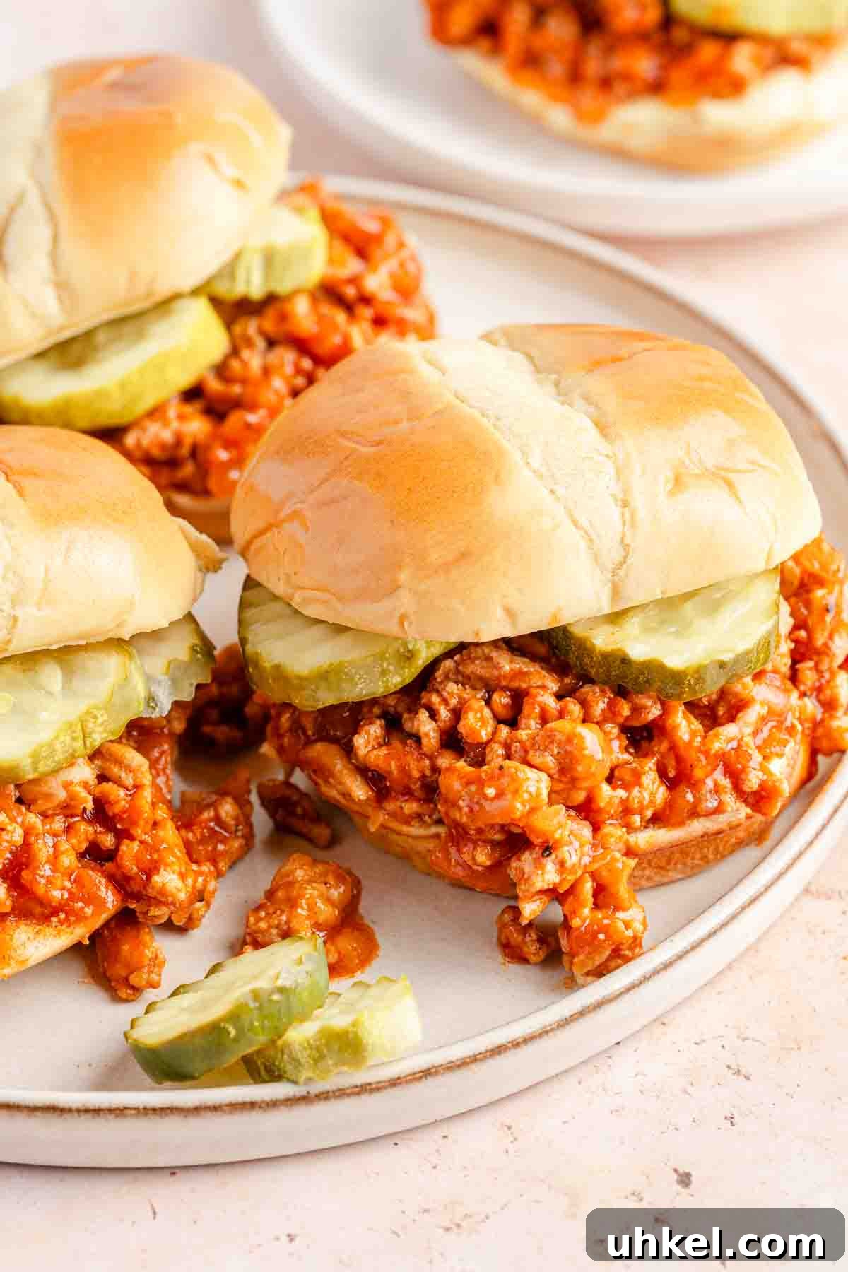 Ground Turkey-Style Sloppy Joes with Ground Chicken 2 chicken sloppy joes with pickles on plate.