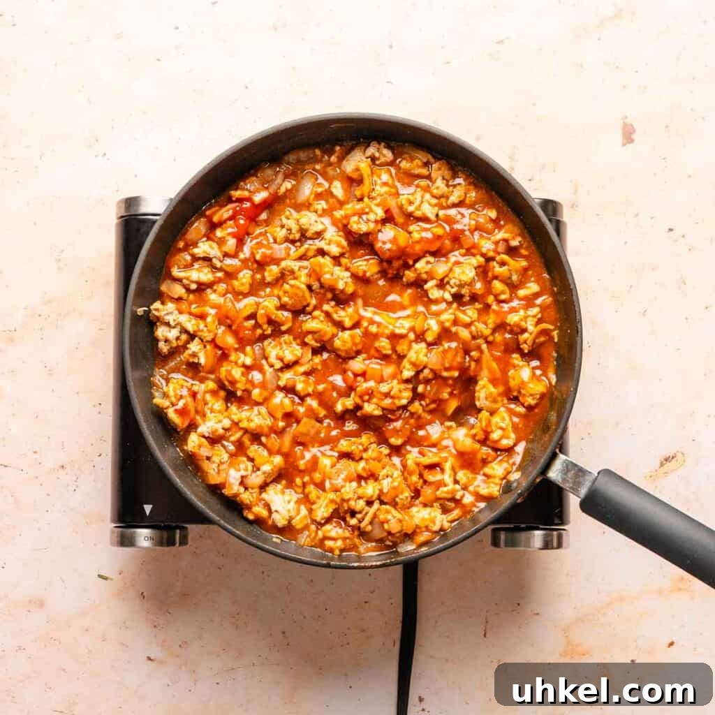 Ground Turkey-Style Sloppy Joes with Ground Chicken 5 sloppy Joe mixture in pan before simmering.