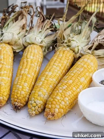 Corn on plate with salt and pepper