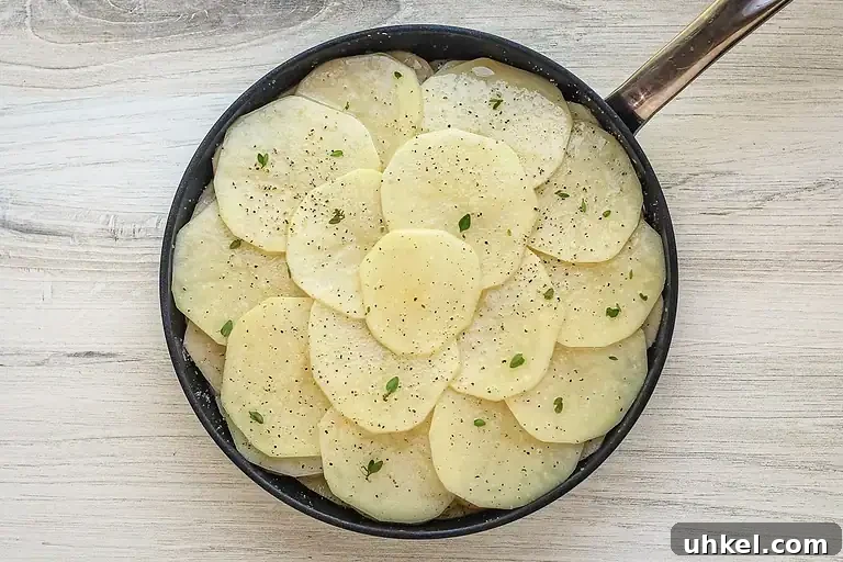 Classic Pommes Anna: Crispy French Layered Potato Cake 6 Thinly sliced potatoes seasoned with herbs in a frying pan.