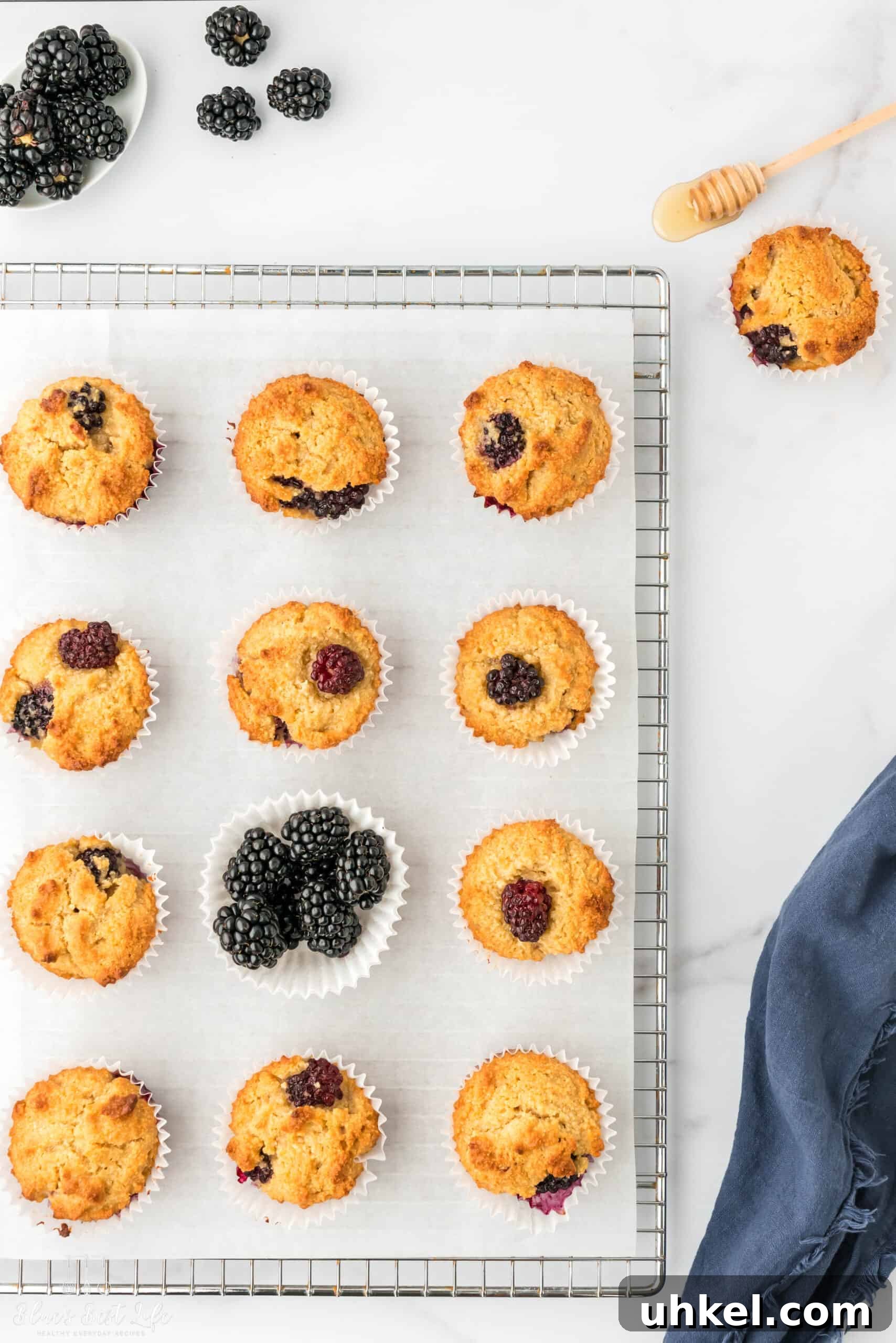 Blackberry muffins cooling on a wire rack. with a baking paper sheet, and a portion of blackberries lying in a white paper liner. 