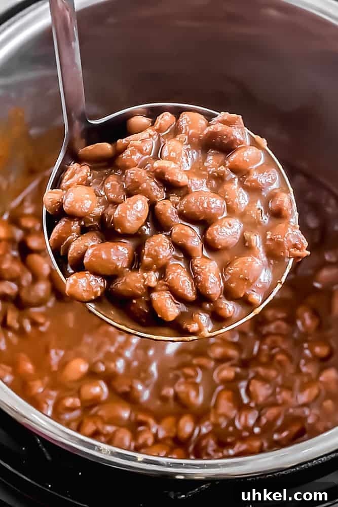 Instant Pot Barbecue Baked Beans Recipe 3 Instant Pot Barbecue Baked Beans