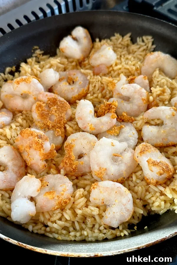 shrimp on rice 