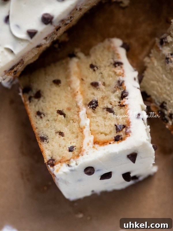 Moist Chocolate Chiffon Cake Recipe for Light, Fluffy Dessert 12 Slice of 2 layer chocolate chip cake on it's side on a brown paper background.