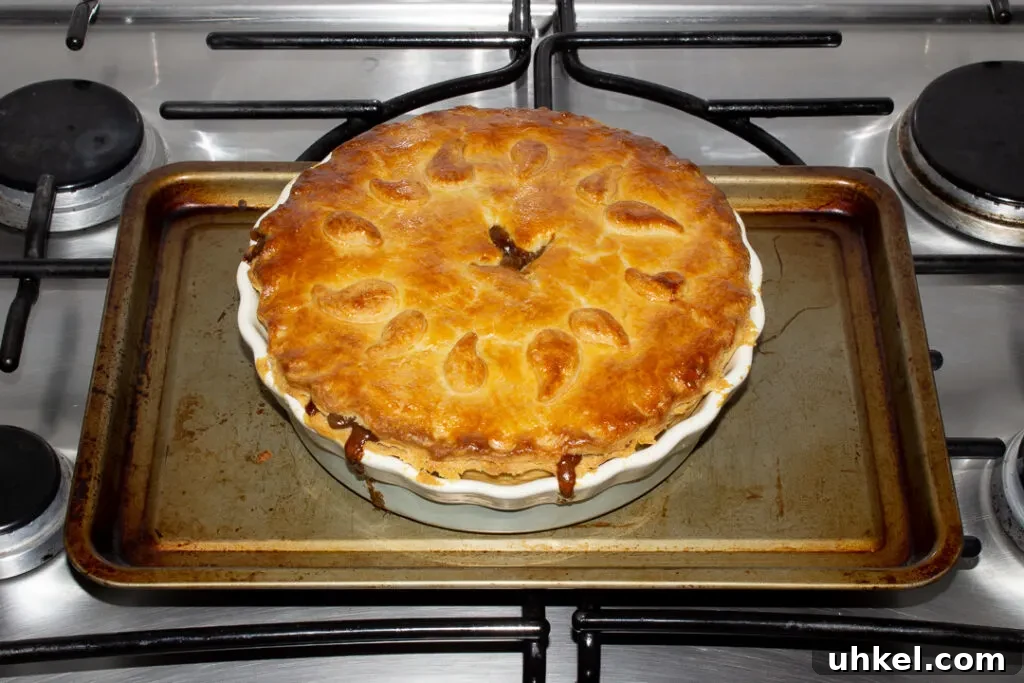 A baked vegetarian mince and onion pie on a baking tray on the stove top