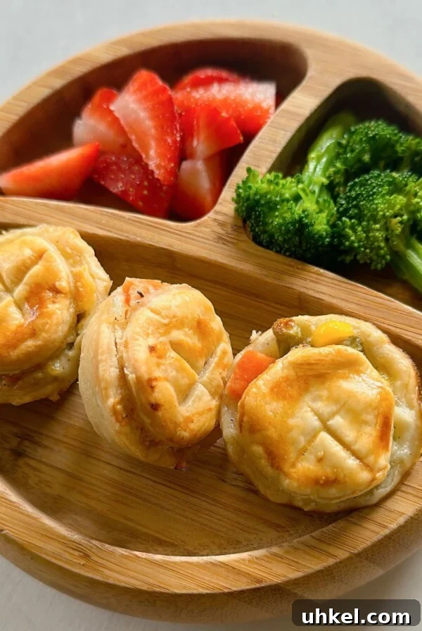 Mini Pumpkin Pies Sweetened with Maple Nectar 9 Mini chicken pot pies served with strawberries and broccoli.