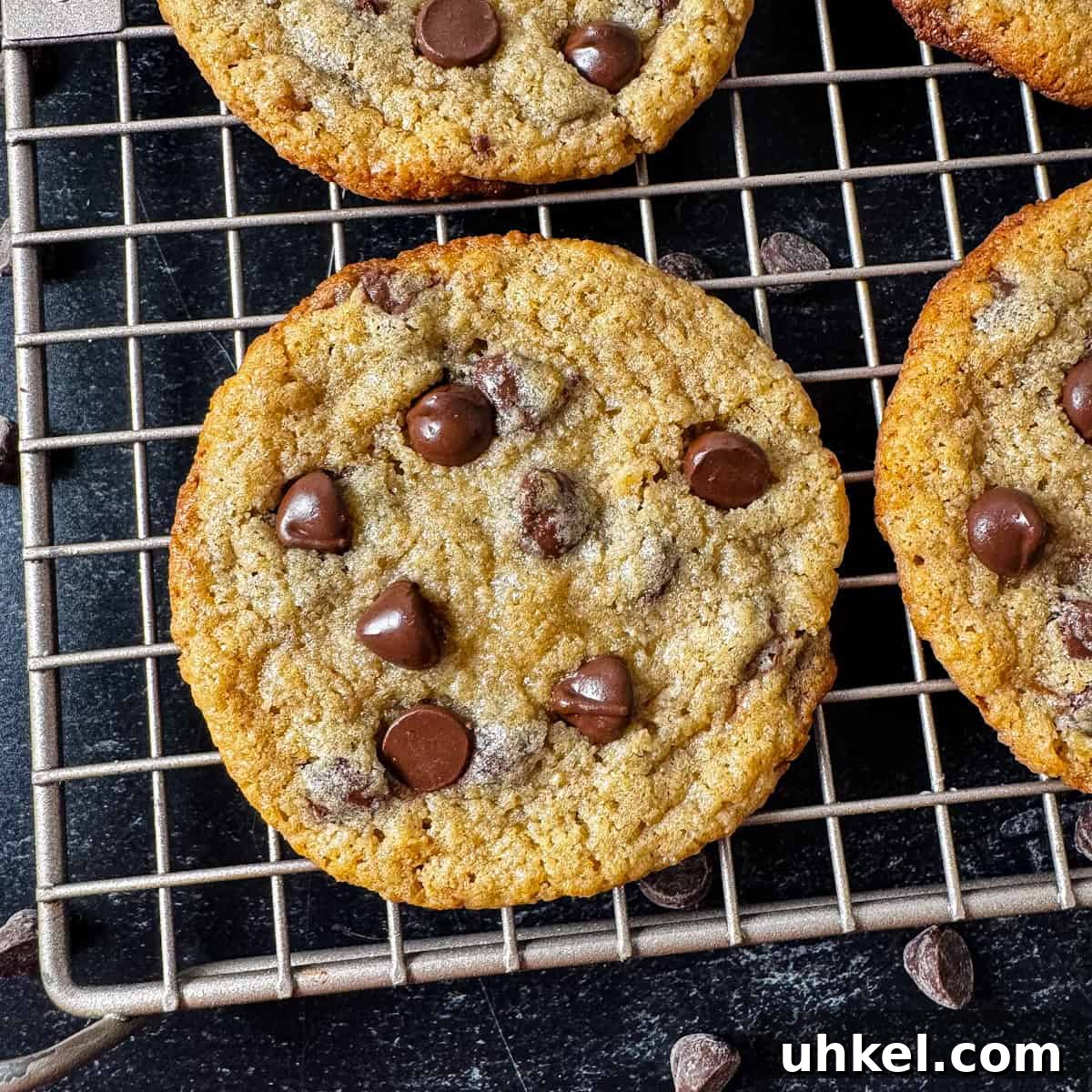 kodiak cakes cookie