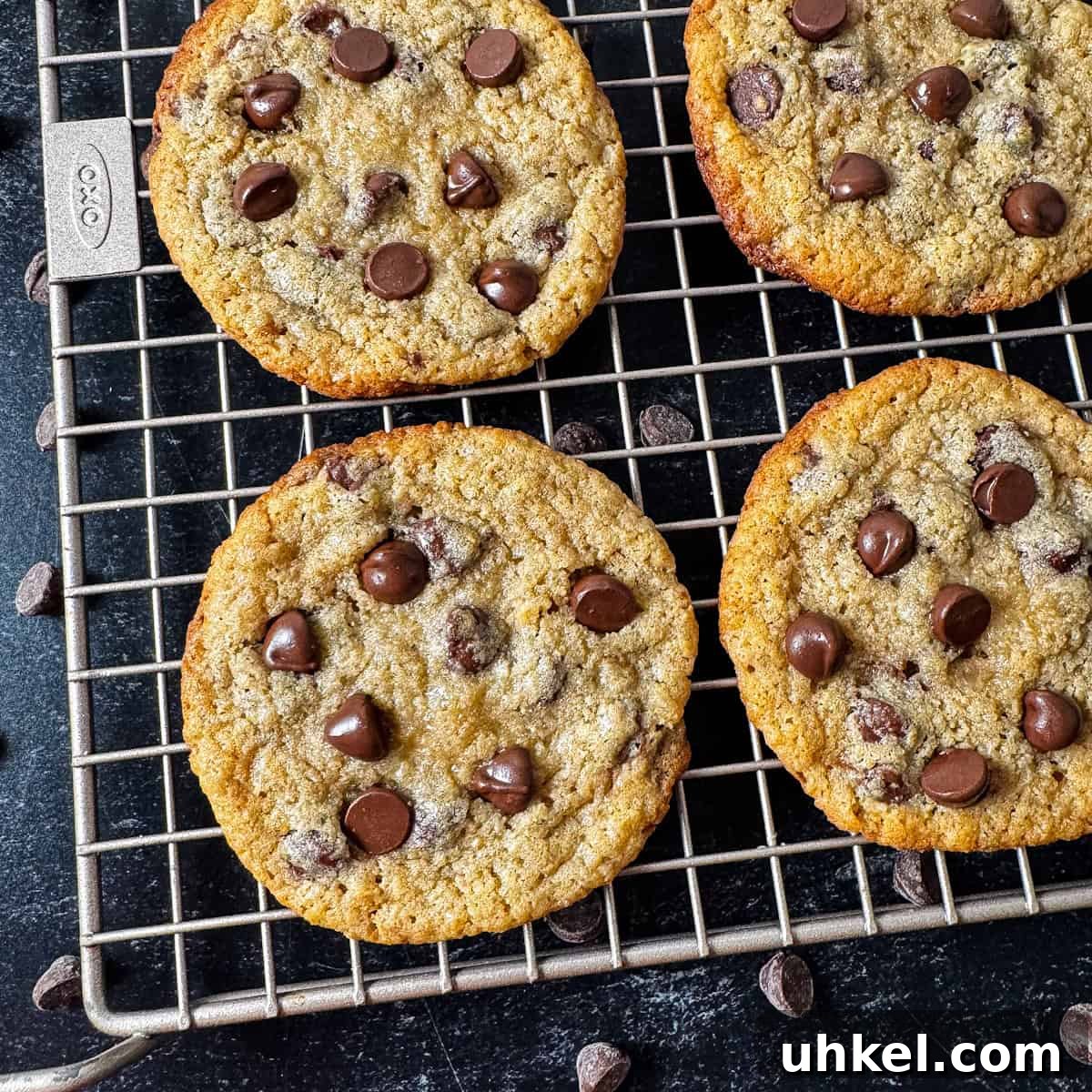 kodiak cakes chocolate chip cookies