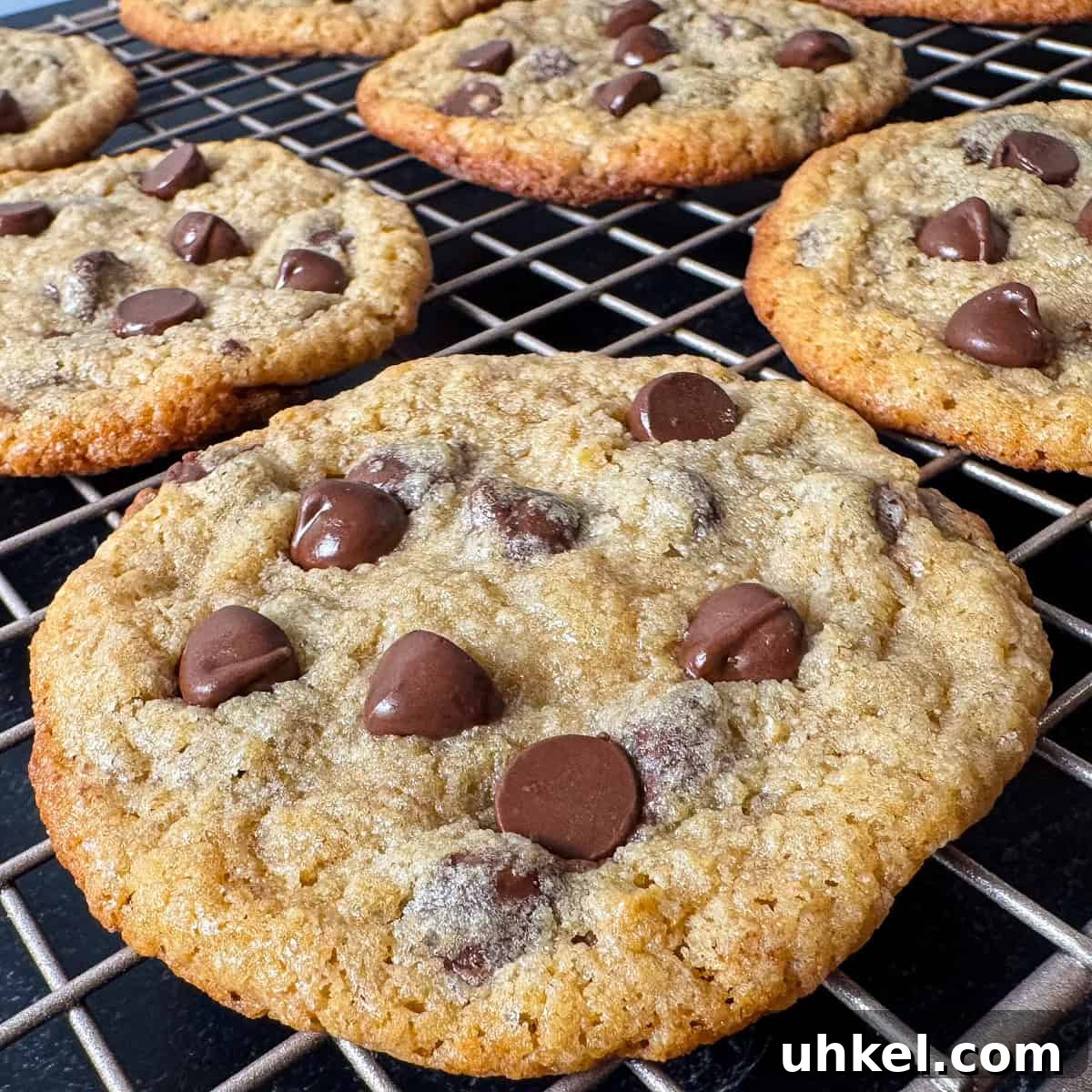 kodiak cakes chocolate chip cookies recipe