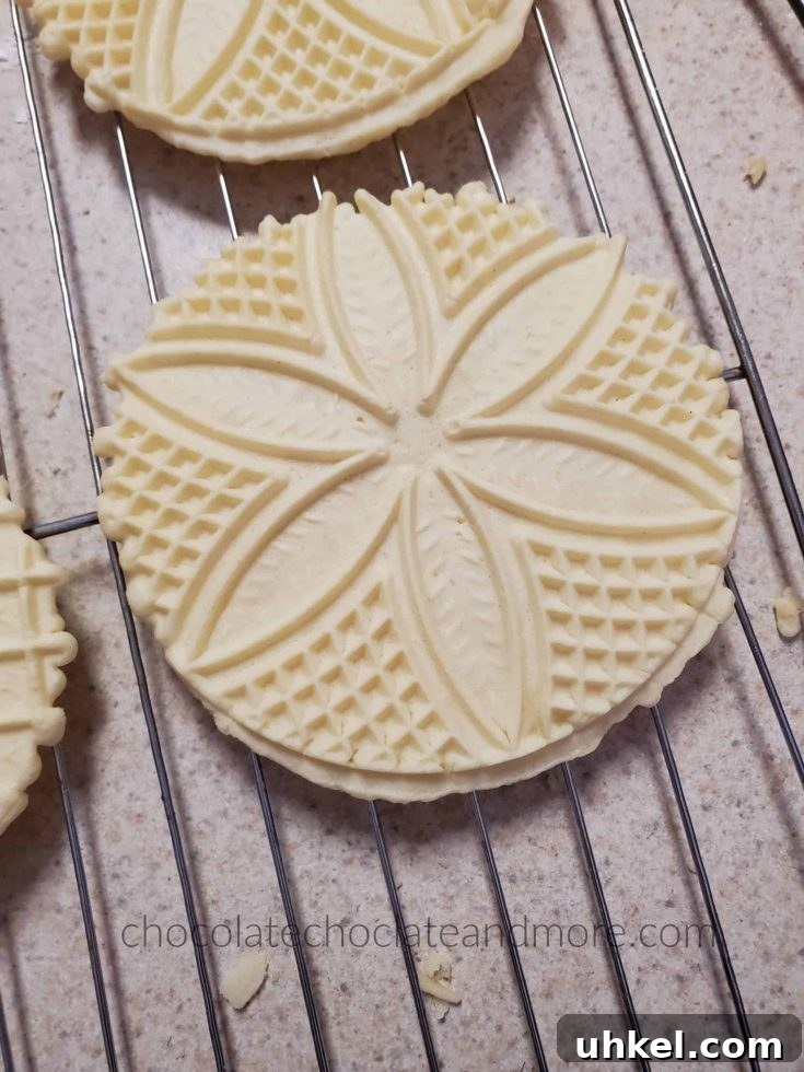 Round flat cookies with decorative imprints cooling on a wire rack.