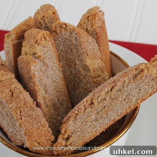 Cinnamon Sugar Biscotti-perfect for dunking and makes a great gift!