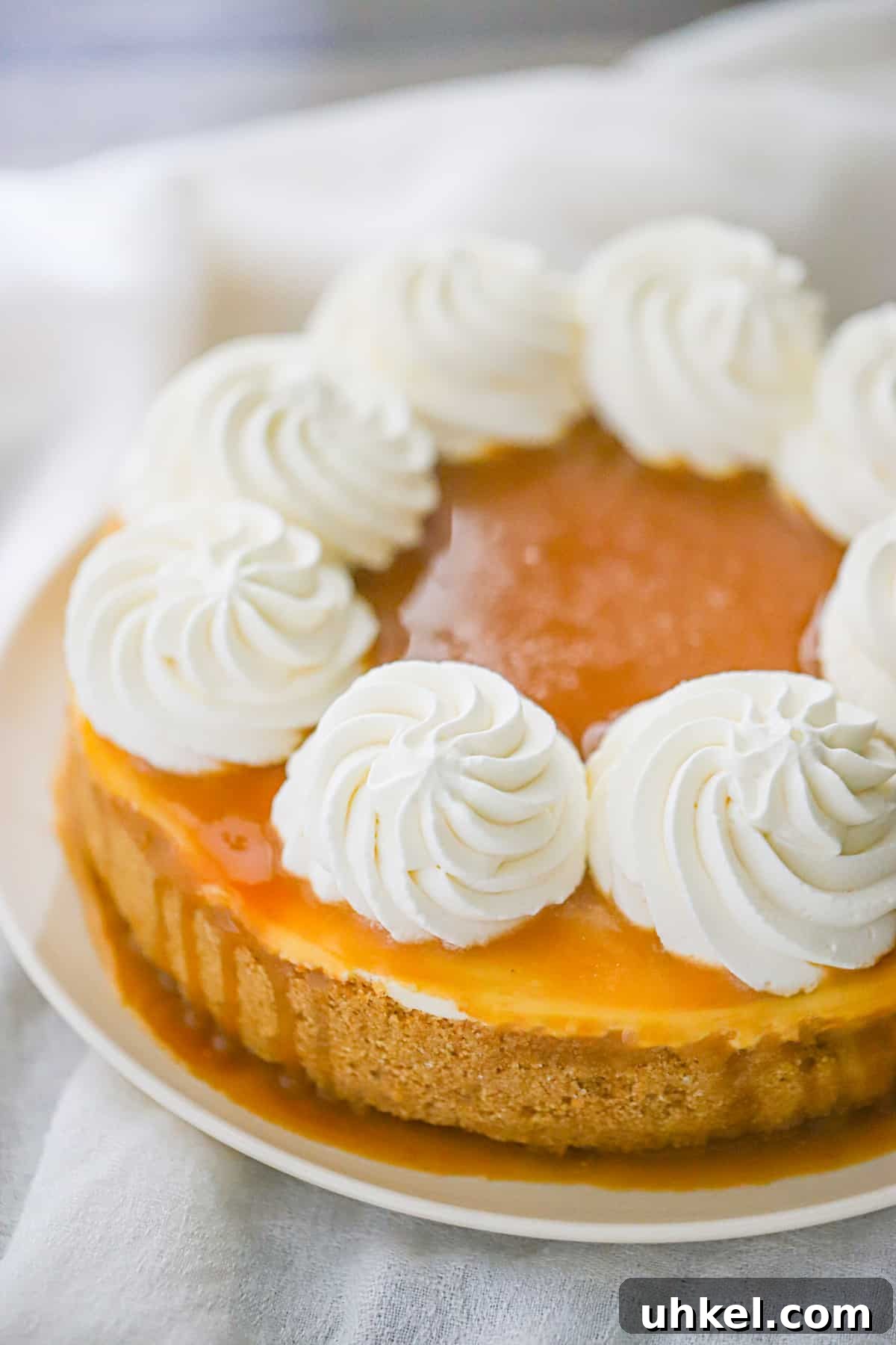 No-Bake Salted Caramel Cheesecake Recipe — Quick Dessert 6 creamy cream cheese dessert