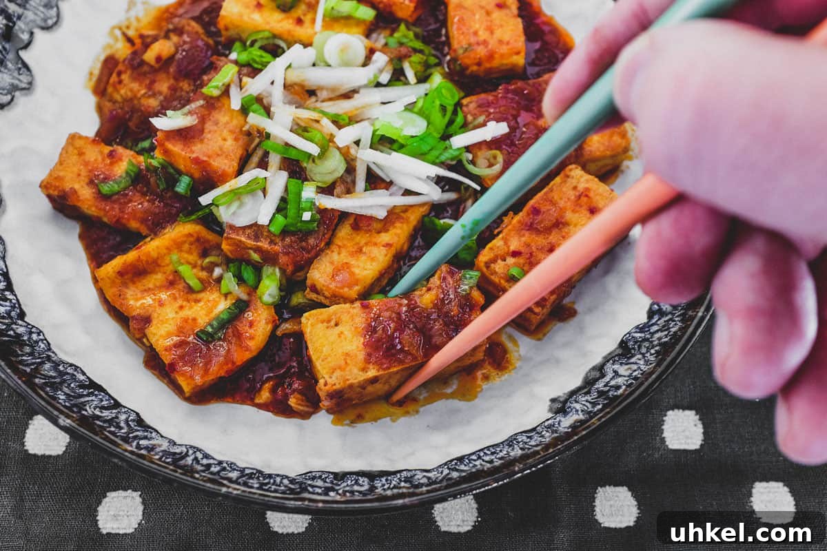 Fried tofu is lightly braised in Korean chilli (gochugaru) and topped with radish and spring onion