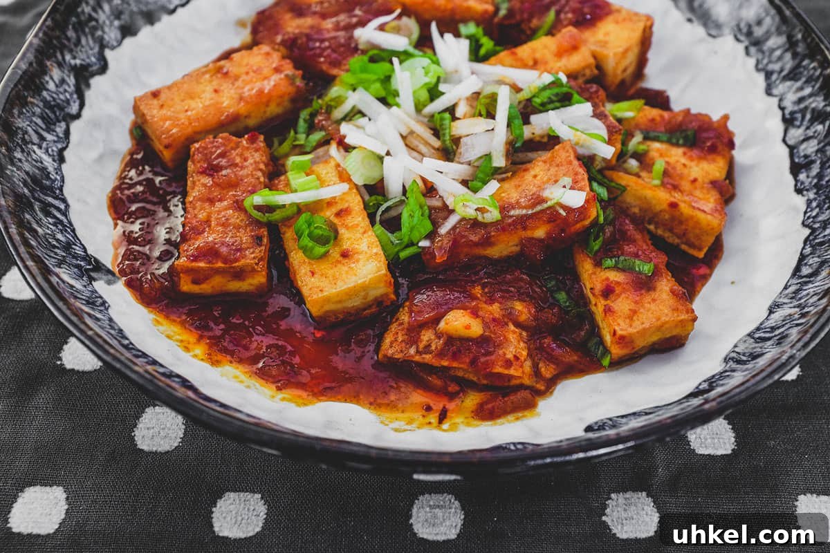Fried tofu is lightly braised in Korean chilli (gochugaru) and topped with radish and spring onion