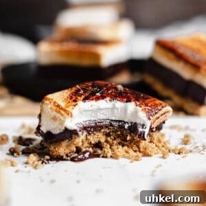 Build a DIY S'mores Bar for the Perfect Party Dessert 16 Smores bar with a bite removed and crumbs scattered