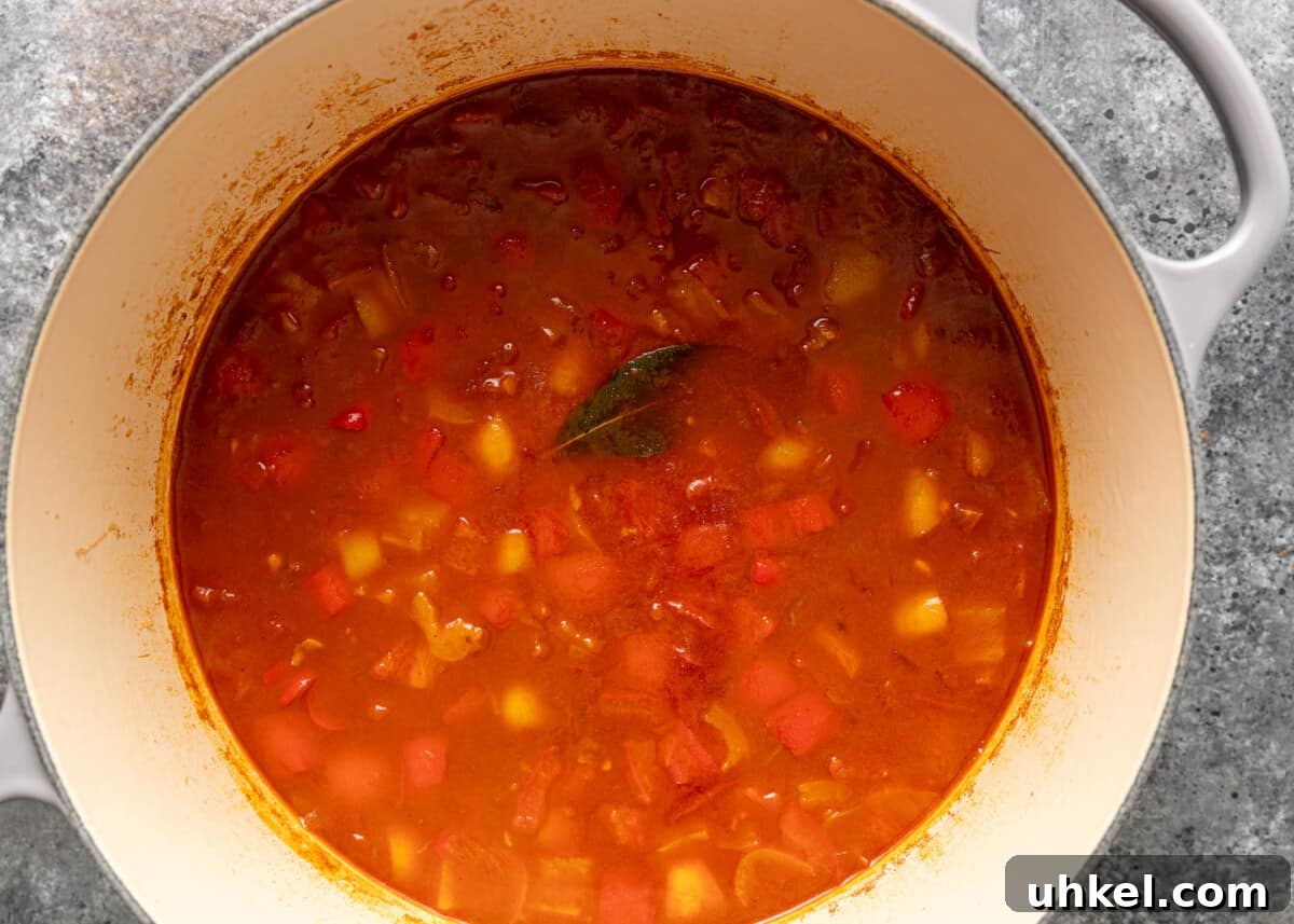 Traditional Hungarian Goulash Recipe: Hearty Beef Stew Guide 9 overhead process shot: beef broth added to the pot