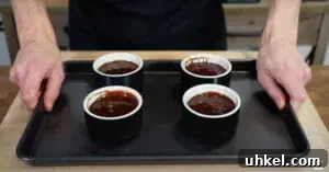 Molten Chocolate Lava Cake Recipe: Gooey Center Dessert Guide 7 Bake Lava Cakes