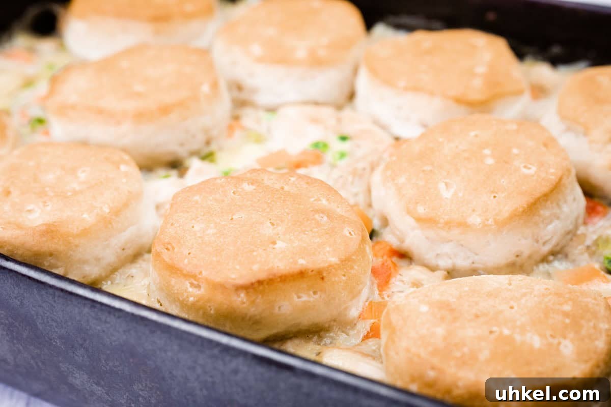 35 Timeless Southern Recipes That Always Delight 17 A baking dish filled with Biscuit-Topped Chicken Pot Pie.